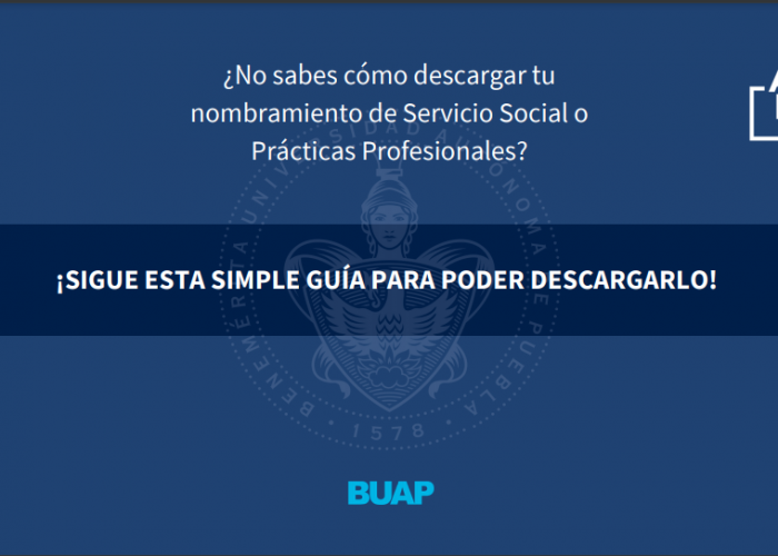 Guía para descargar Carta Nombramiento de SS y/o PP